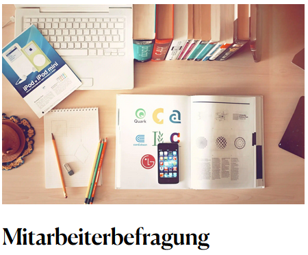 Mitarbeiterbefragung Tivian
